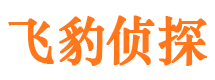 兴业侦探公司